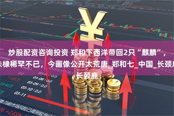 炒股配资咨询投资 郑和下西洋带回2只“麒麟”，朱棣稀罕不已，今画像公开太荒唐_郑和七_中国_长颈鹿